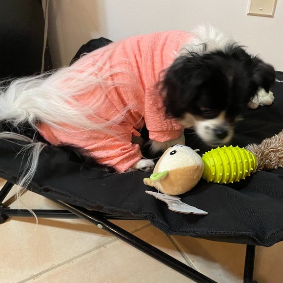 Odra Pooch Couture Pet Pajamas – Dog Not Included - Picture 6 of 8